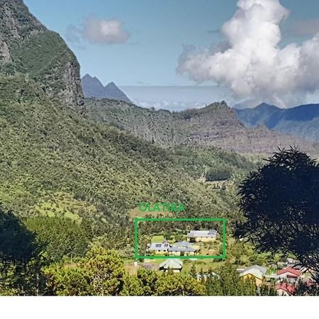Olatika - Gite Des Cascades Cilaos Ngoại thất bức ảnh