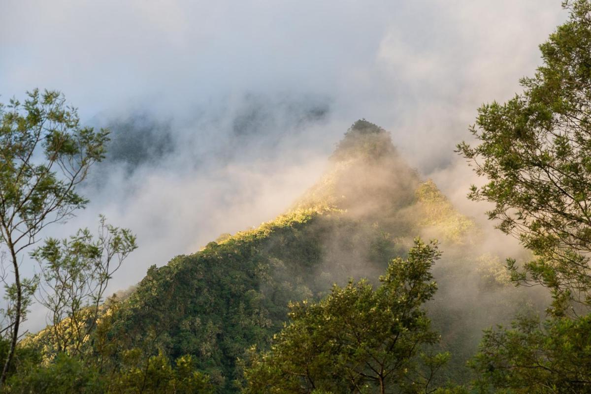 Olatika - Gite Des Cascades Cilaos Ngoại thất bức ảnh
